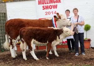 Reserve  Champion Mullingar Kilsunny Doreen's Ivy with owner Christine Drumm