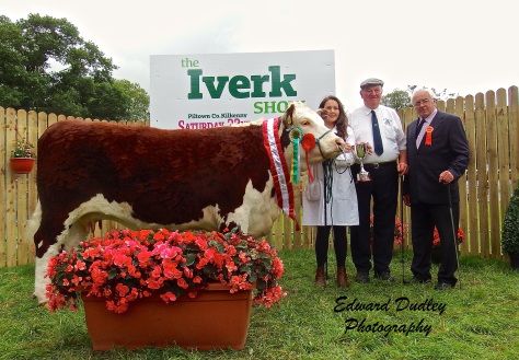  Supreme Hereford Breed Champion - 'Lakelodge Kathy 5' with Susan Dudley (exhibitor), Henry Parr, rep of South Leinster Hereford Branch) & Martin Murphy Judge