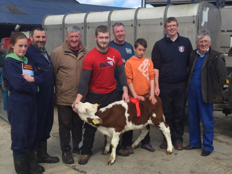 Mogue Mahon and family who purchased the prizewinning heifer at €420 with Jim Bergin and daughter the owners and South Leinster Hereford Branch members John Jones, Mervyn Parr and William Wallace.