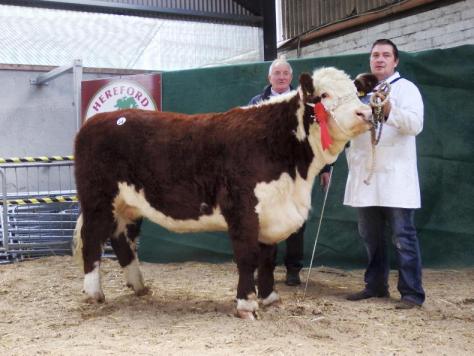 Glaslough Pepsi - €3,000 pictured with show judge John Holloway and owner Nigel Heatrick