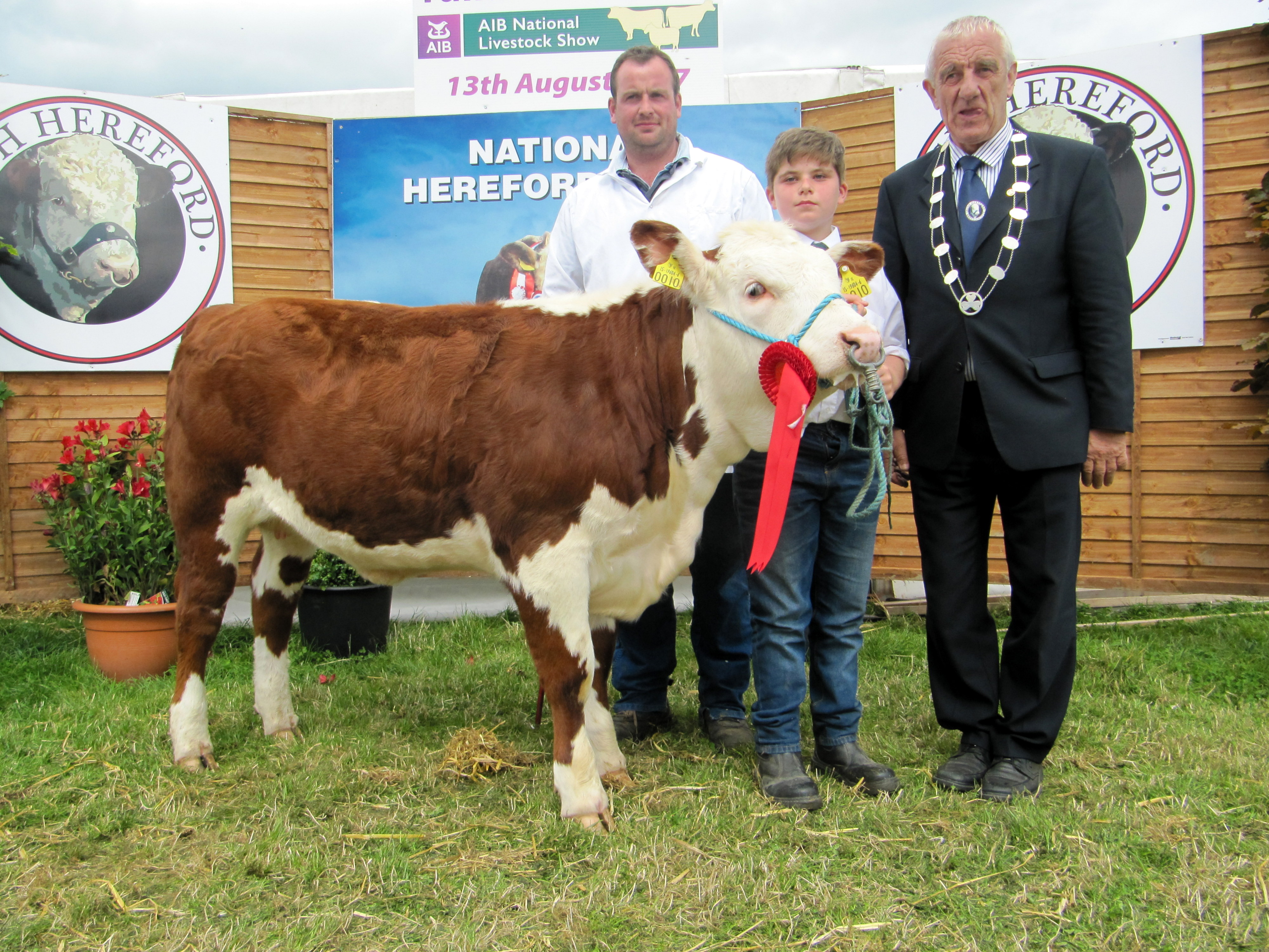 100 Champion Heifer Calf Coisceim Poll 1 Jewel with owner Timmy Breen, John Angland and IHBS President Pat McCarthy